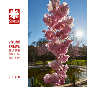 Výroční zpráva 2020
